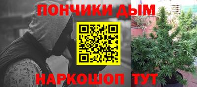 гидропоника Будённовск