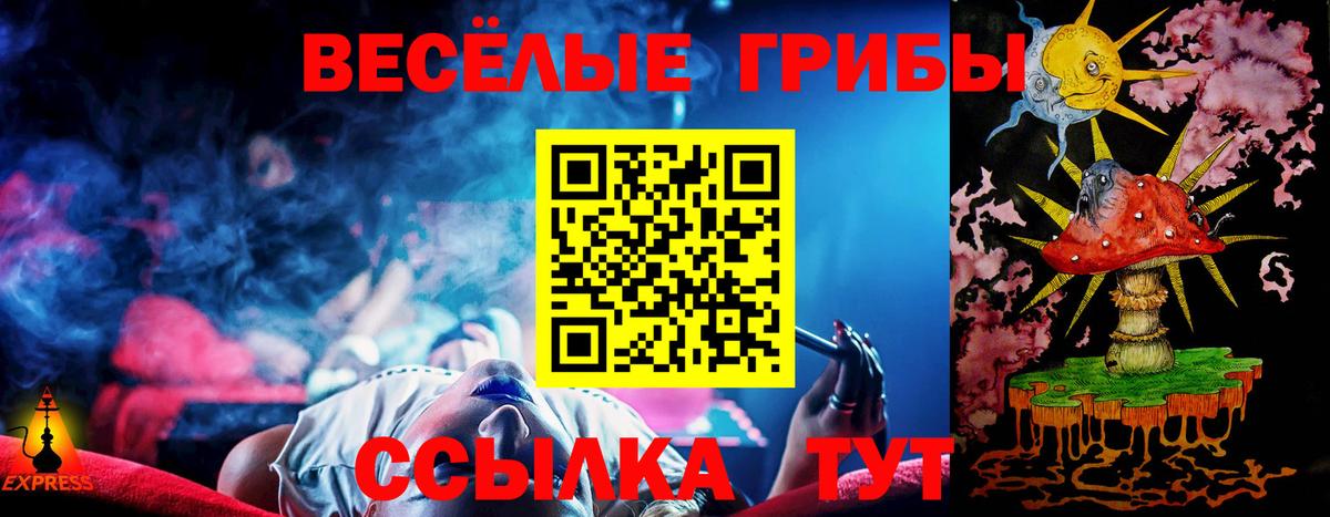 Псилоцибиновые грибы Cubensis Полевской