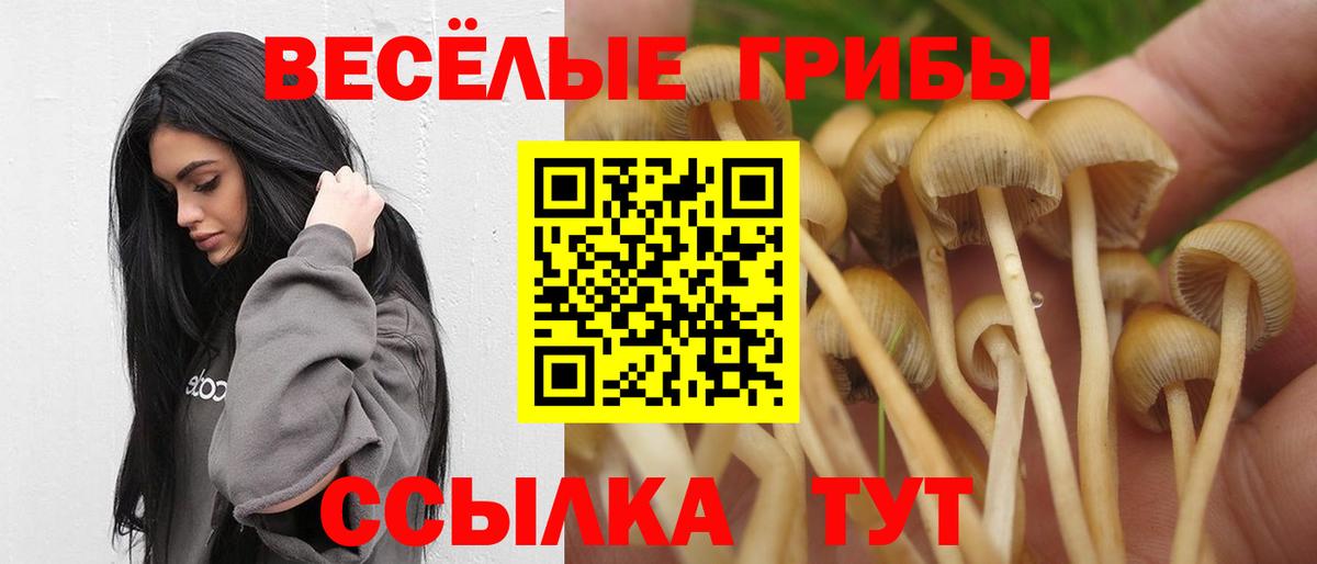 Галлюциногенные грибы GOLDEN TEACHER Полевской